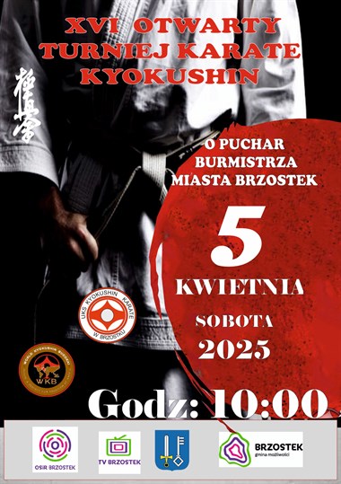 XVI Otwarty Turniej Kyokushin Karate  o Puchar Burmistrza miasta Brzostek