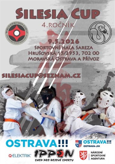 Silesia Cup