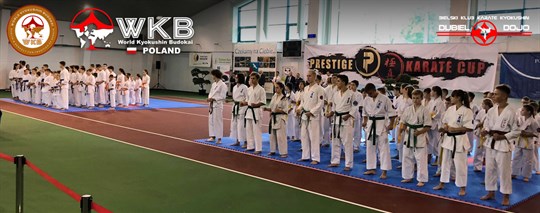 WKB Prestige Karate Cup, Rzeszów 20.10.2018